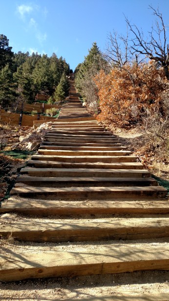 IMG_20171128_124805819 (1)